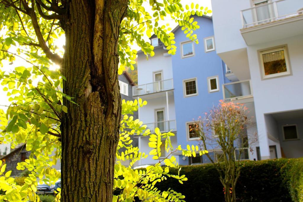 Hotel Ricarda Schlangenbad Εξωτερικό φωτογραφία